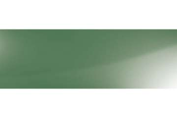 Buntlak 2 in 1 RAL 6002